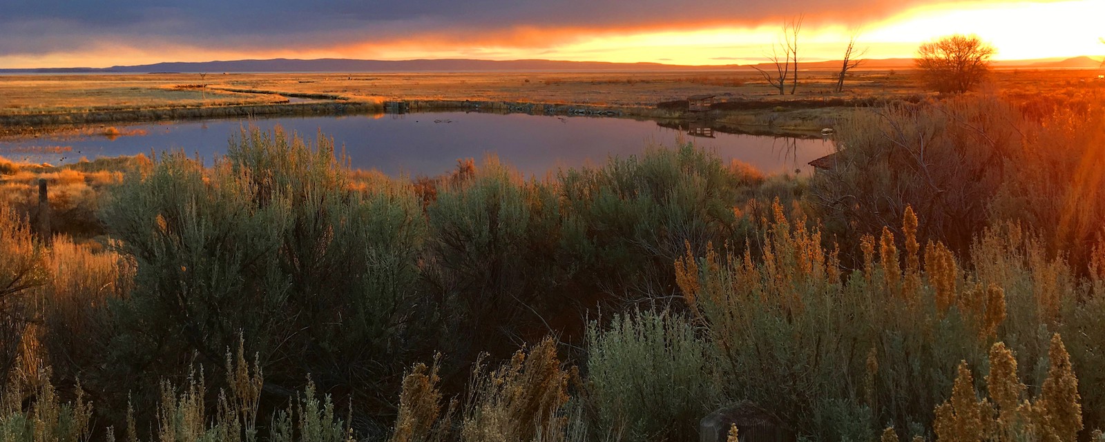 Low clouds and orange sky over a pond