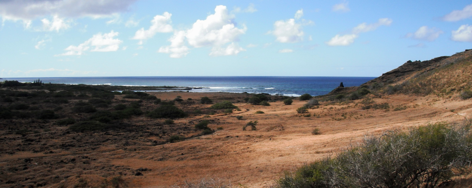 Dry ranch land on Hawai'i