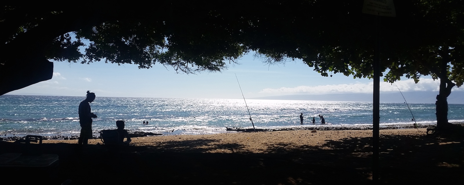 People fishing off a shady beach